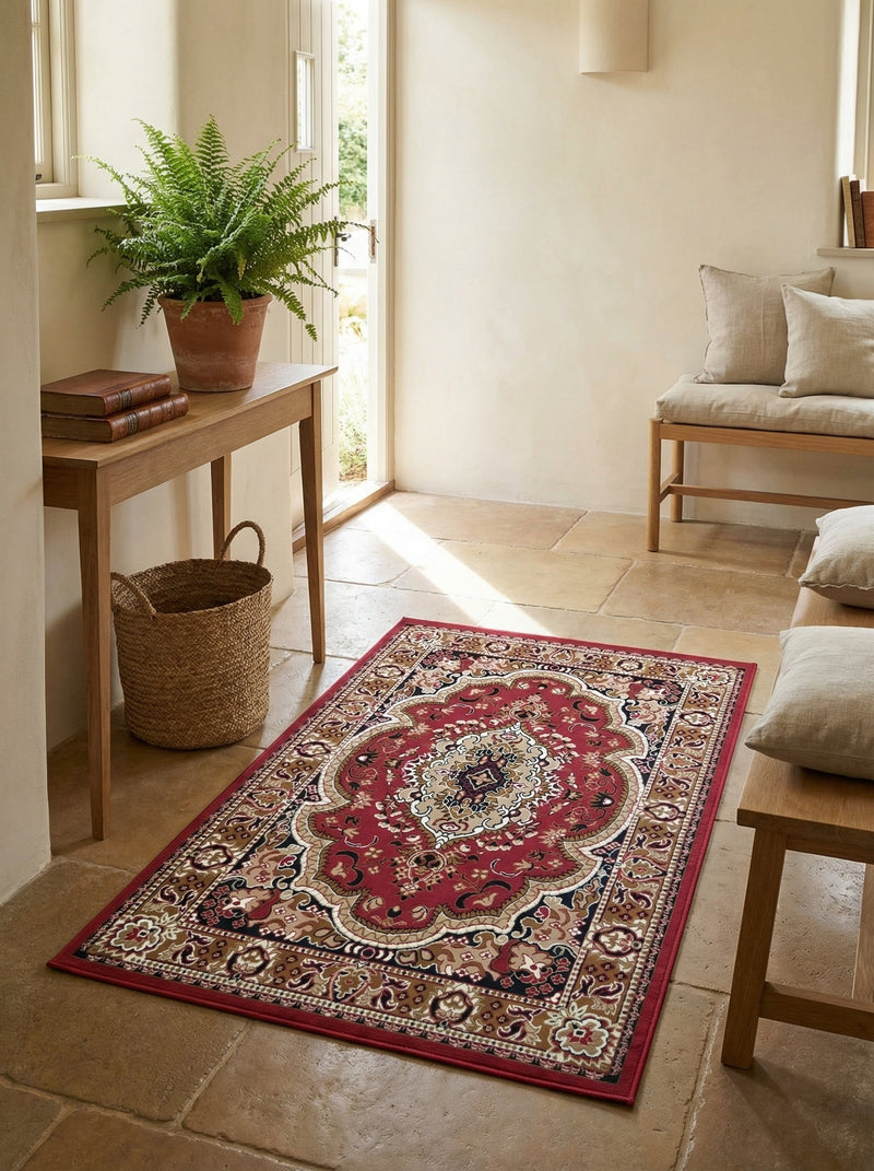 Tapis rectangulaire rouge à motifs orientaux beiges, noirs et marrons sur un sol en pierre dans une entrée lumineuse
