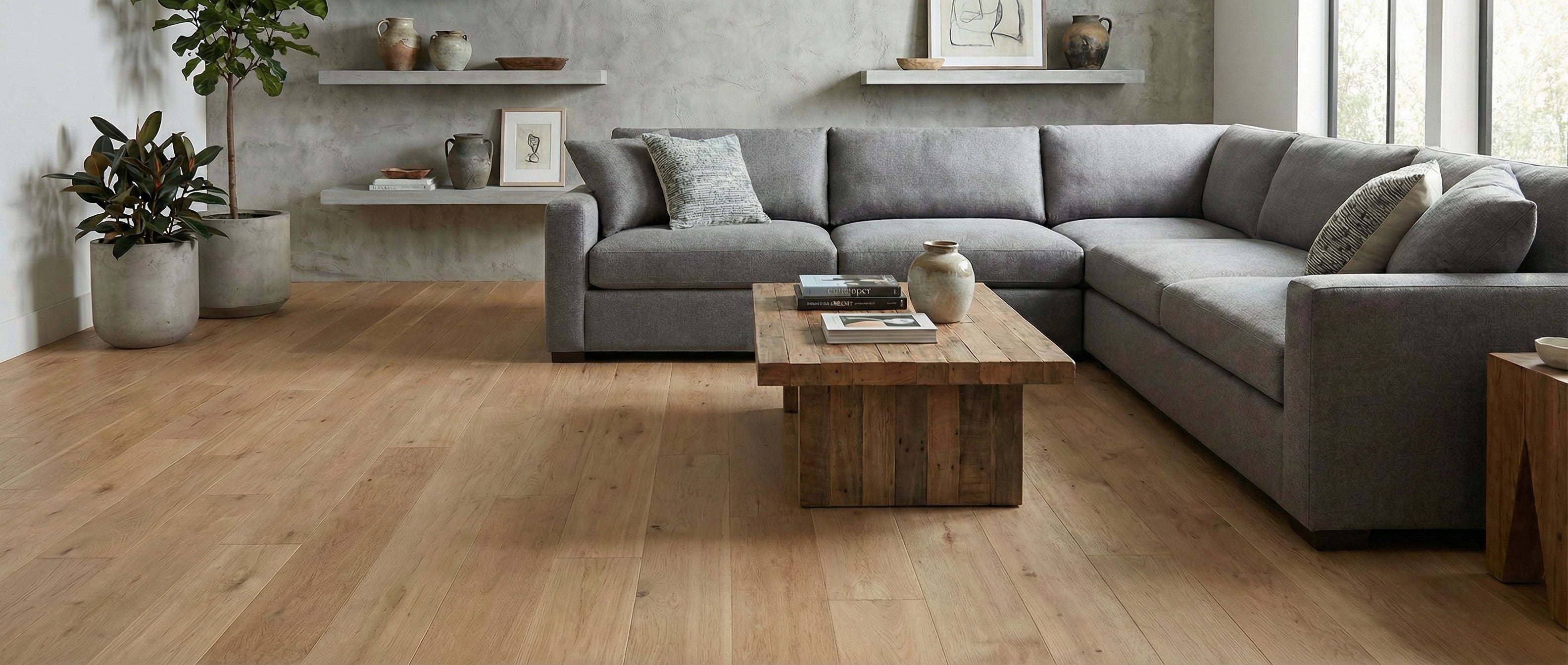 Pièce avec plancher en bois clair, canapé gris, table basse en bois, plantes. Espace à transformer pour type tapis, couleur