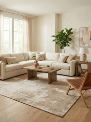 Tapis rectangulaire beige clair dans un salon. Ambiance chaleureuse et harmonie avec le décor naturel