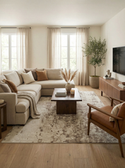 Tapis rectangulaire taupe dans un salon, créant une ambiance douce et harmonieuse avec le décor