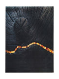Tapis Lavable Design Noir et Or 11 - Onyx