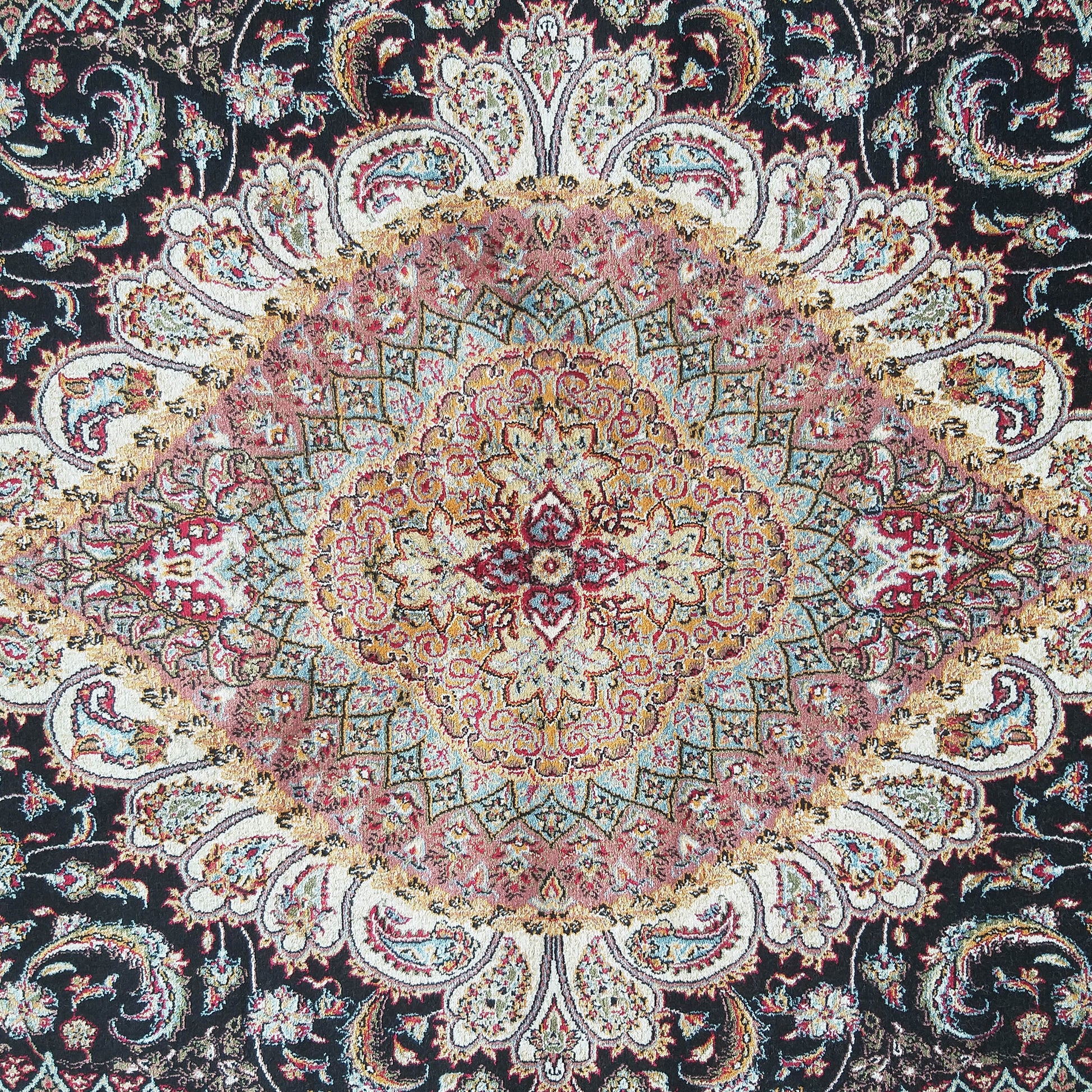 Tapis orné d'un grand médaillon central et de motifs cachemire floraux sur fond noir et beige, avec des touches de rouge, or et bleu