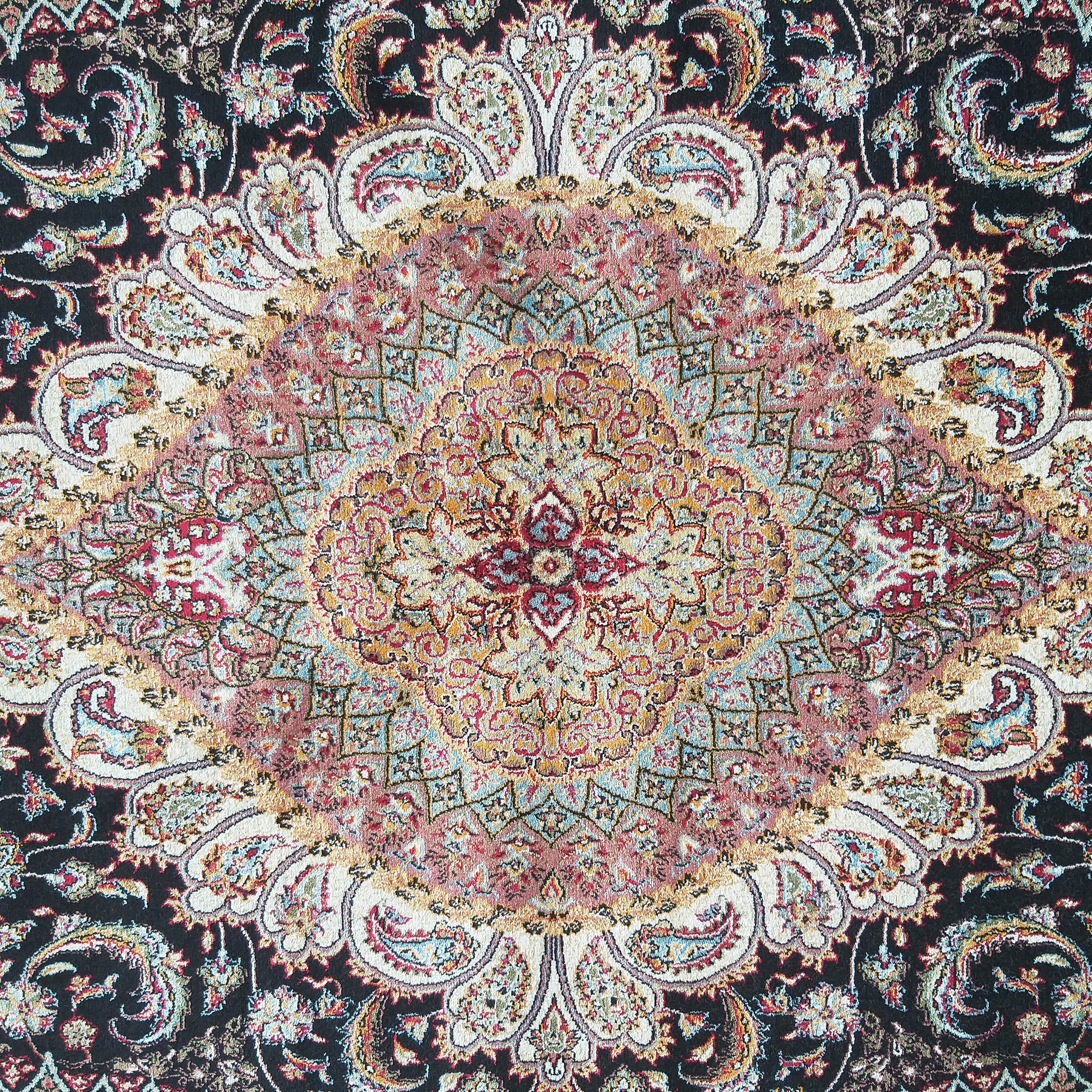 Tapis orné d'un grand médaillon central et de motifs cachemire floraux sur fond noir et beige, avec des touches de rouge, or et bleu