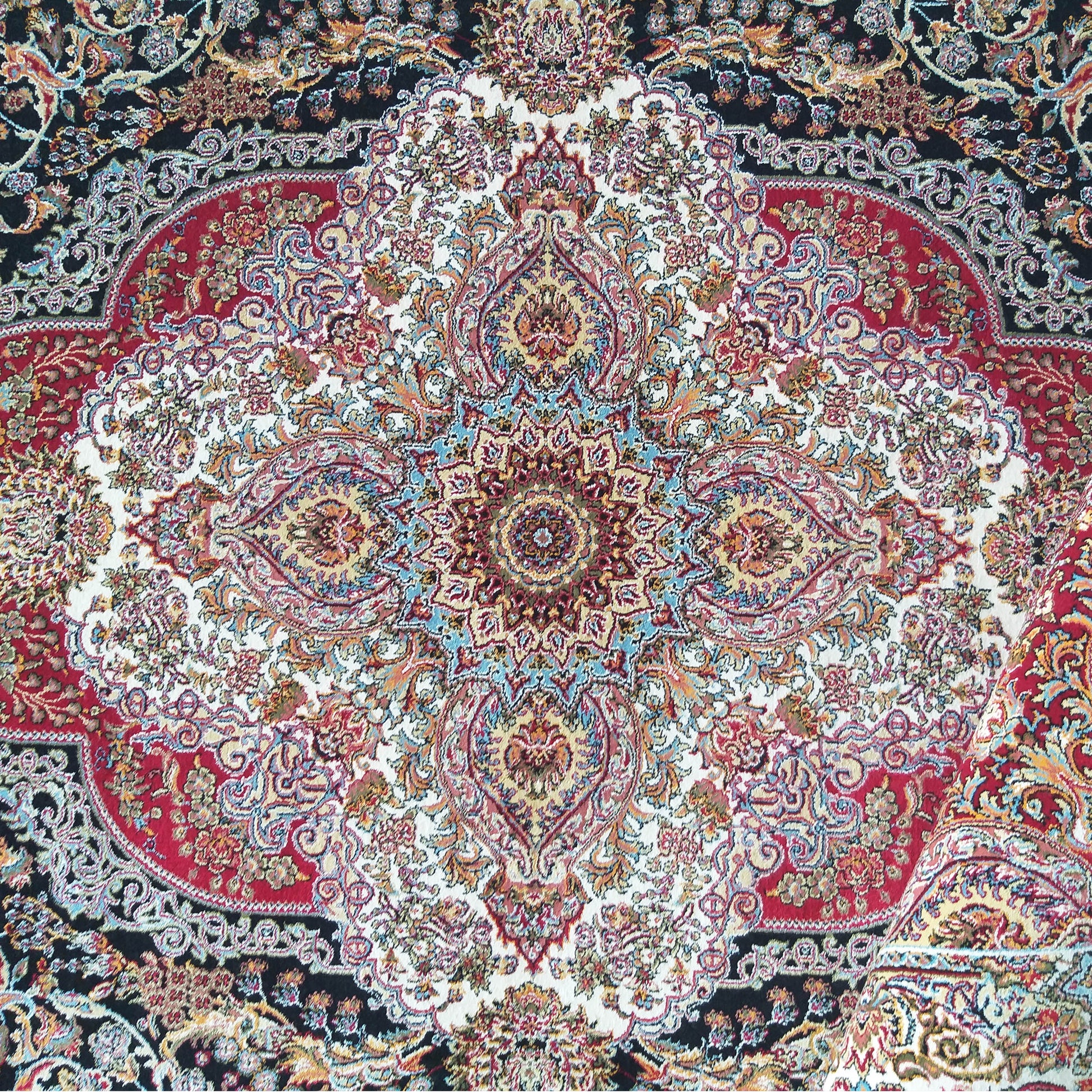 Tapis richement détaillé avec un grand motif central et des bordures, principalement noirs, rouges, crème, dorés et bleus