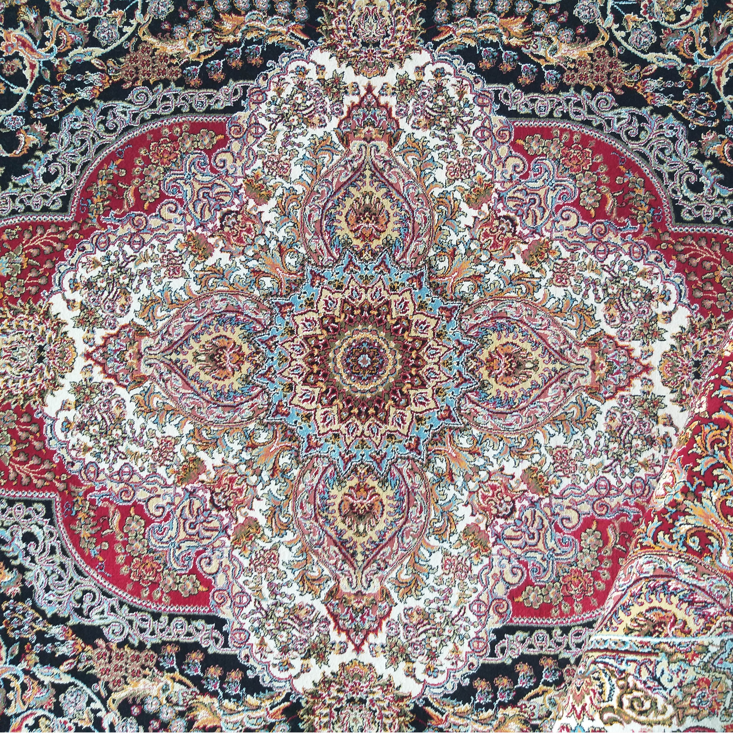 Tapis richement détaillé avec un grand motif central et des bordures, principalement noirs, rouges, crème, dorés et bleus